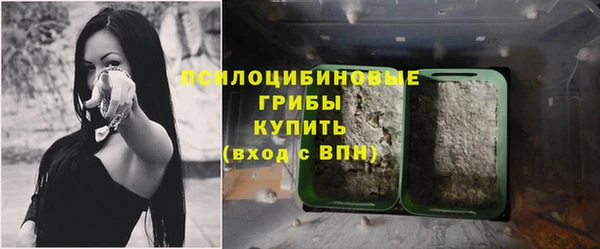 Альфа ПВП Беломорск