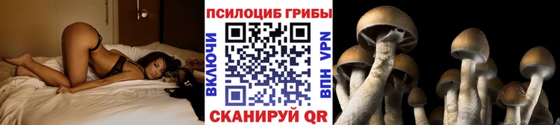 Псилоцибиновые грибы мухоморы  blacksprut ONION  Красный Кут 